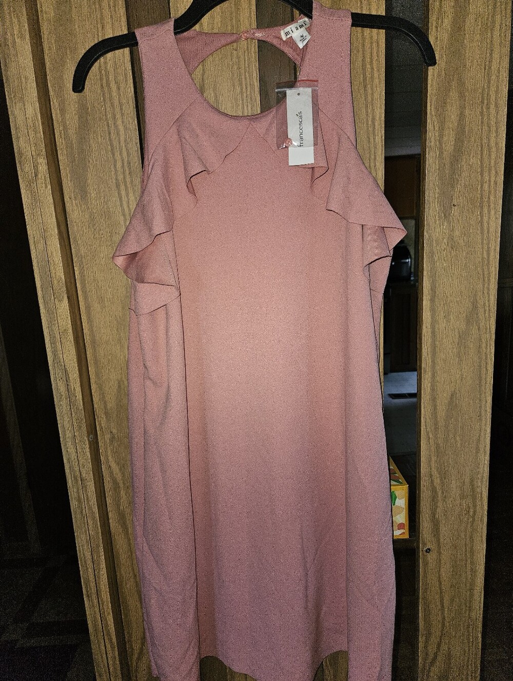 NWT Francesca's Collections Miami Sz M Dusty Rose Ruffle Shift Mini Dress